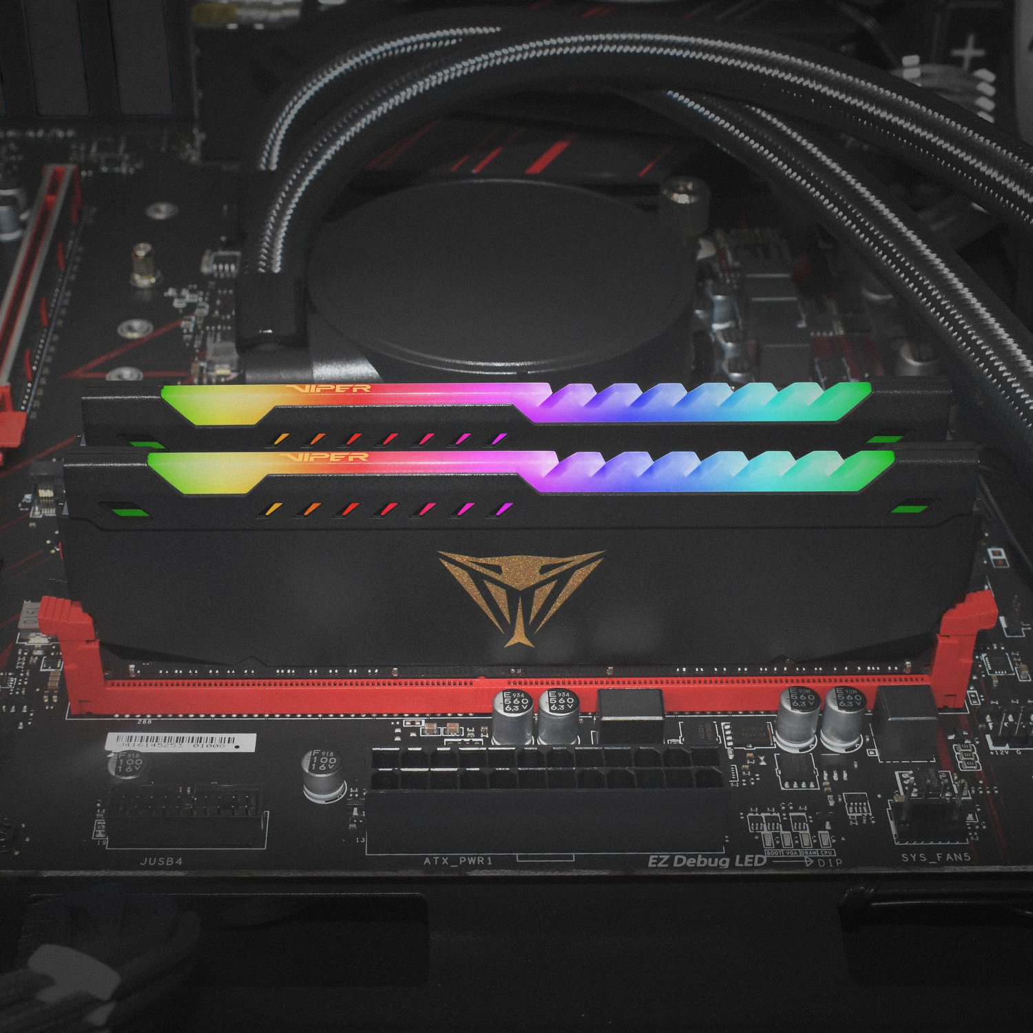 PATRIOT Viper RGB DDR4 16GB (8GBX2) 3600 RPM UDIMM Computer Memory
