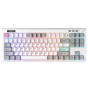 1StPlayer NEO87 Frostwave Mechanical Gaming Keyboard TKL 87-Key RGB Hot-Swap