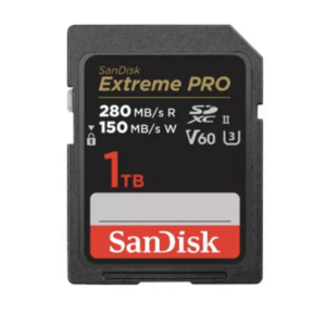 SDSDXEP-1T00-GN4IN