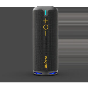Wireless speaker model D320 from W-KING